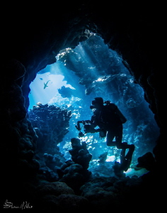 Opening by Steven Miller 